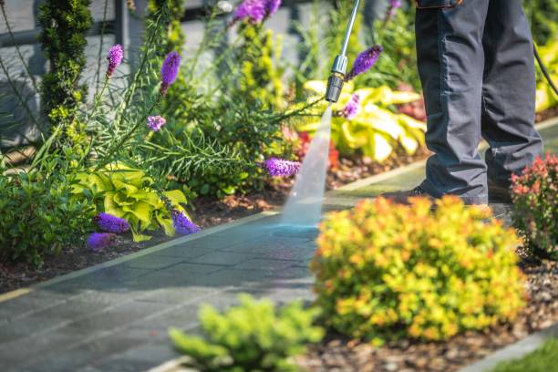 Best Deck and Patio Pressure Washing in Mineral Wells, TX